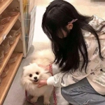 赤焰裁决vip破解版下载